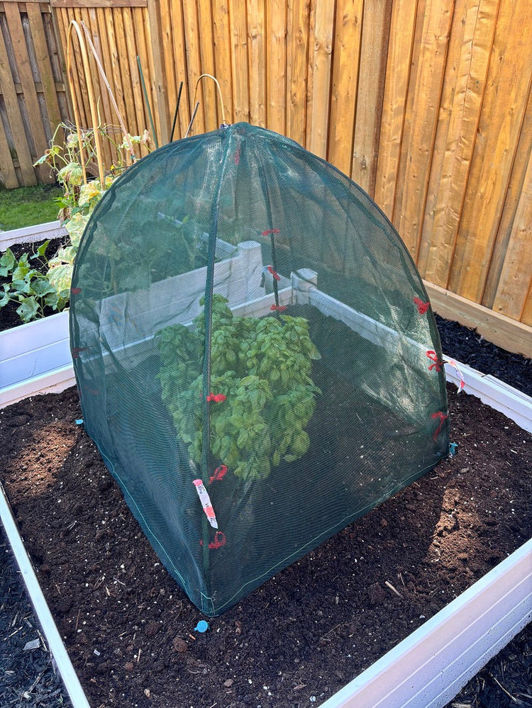 Animal & Bug Guard Cover 28" x 28" x 30" - 2 Pack