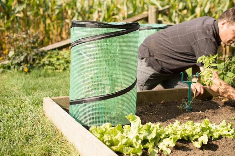 POP UP Greenhouse Cover 24" x 16.5", 2-Pack