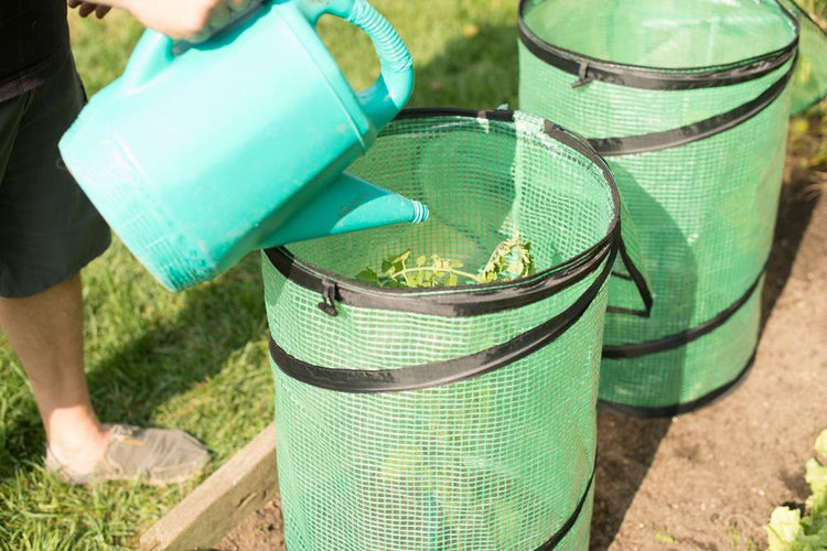 POP UP Greenhouse Cover 24" x 16.5", 2-Pack